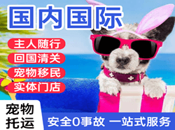 连云港花果山航空空运国际宠物托运 【国